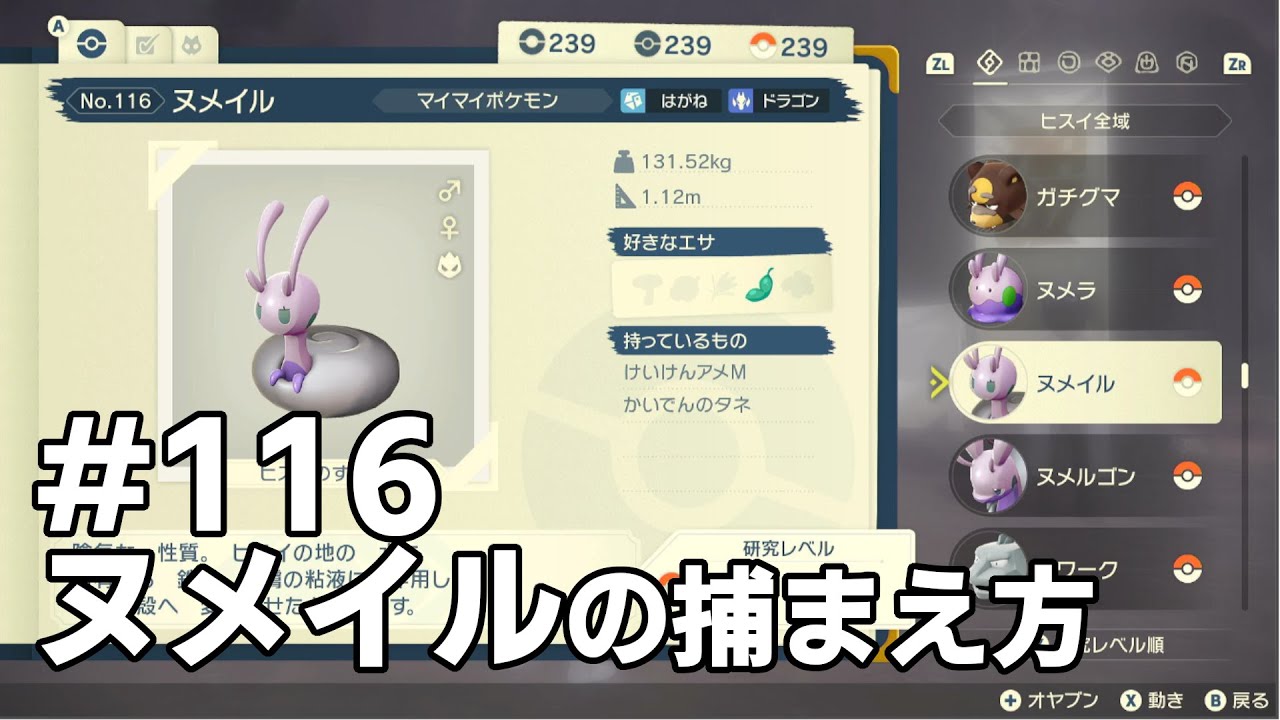 ヌメイルを探している方に見てほしい動画