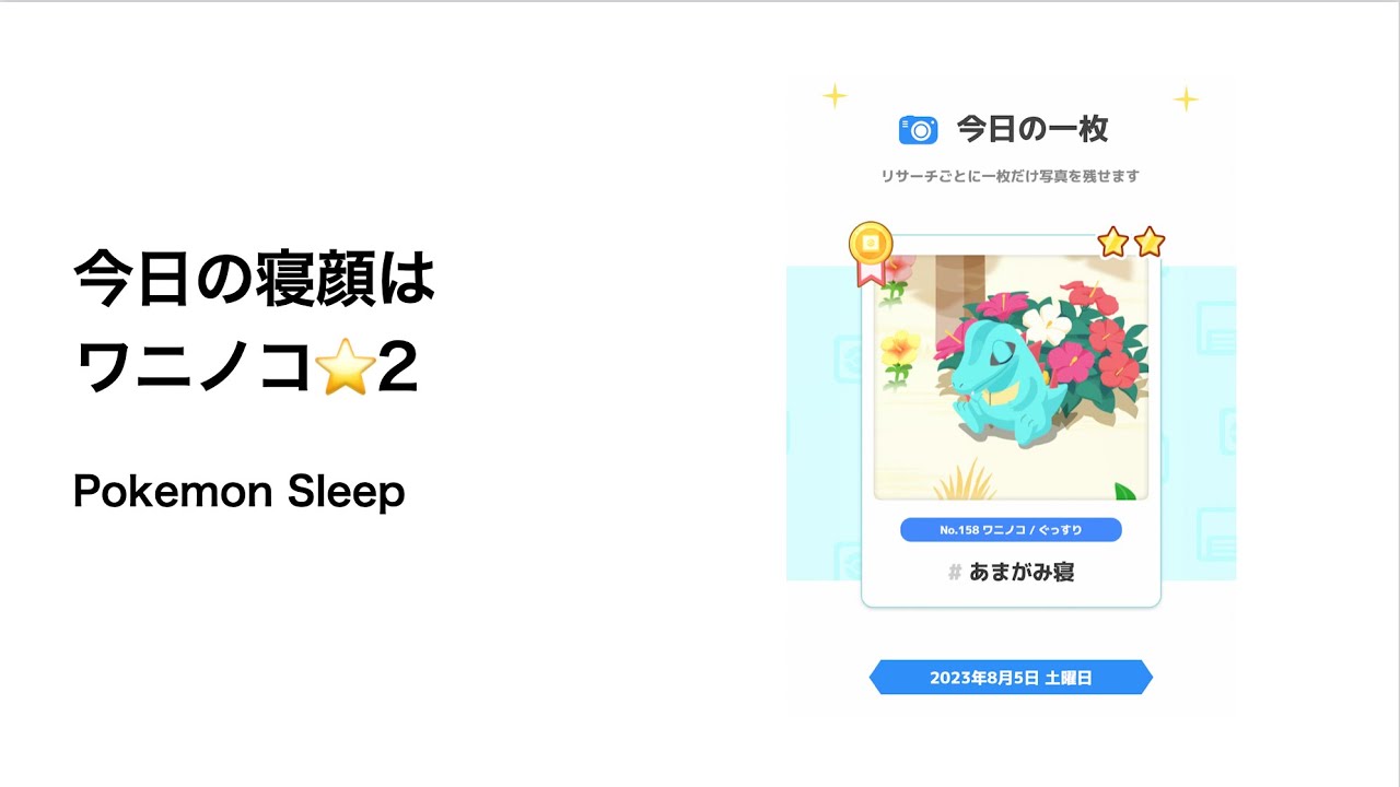 ポケモンスリープ 今日の寝顔はワニノコ星2