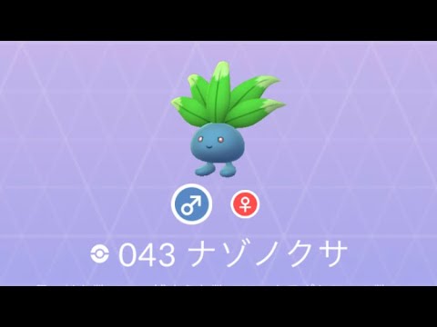 Pokémon GO 43 ナゾノクサ