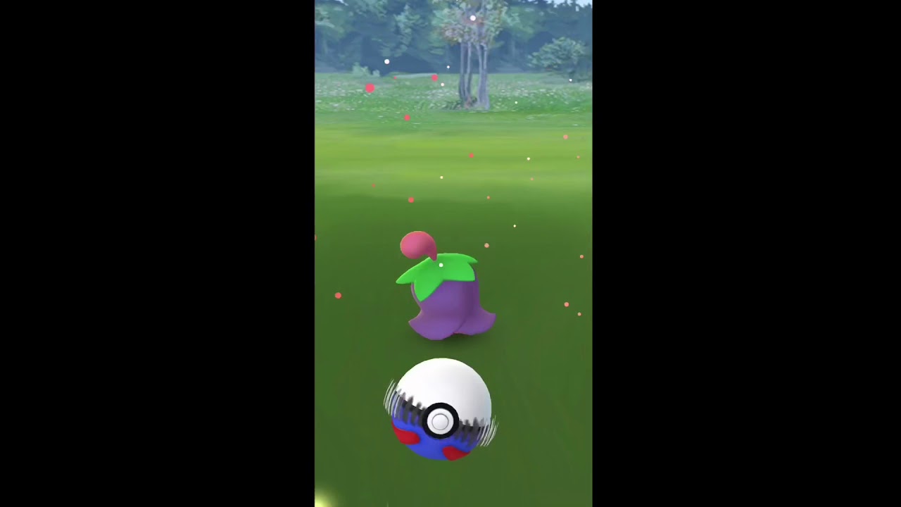 【ポケモンGO】カブリアスは速攻育成すべき！？【チェリム野生で出現！】