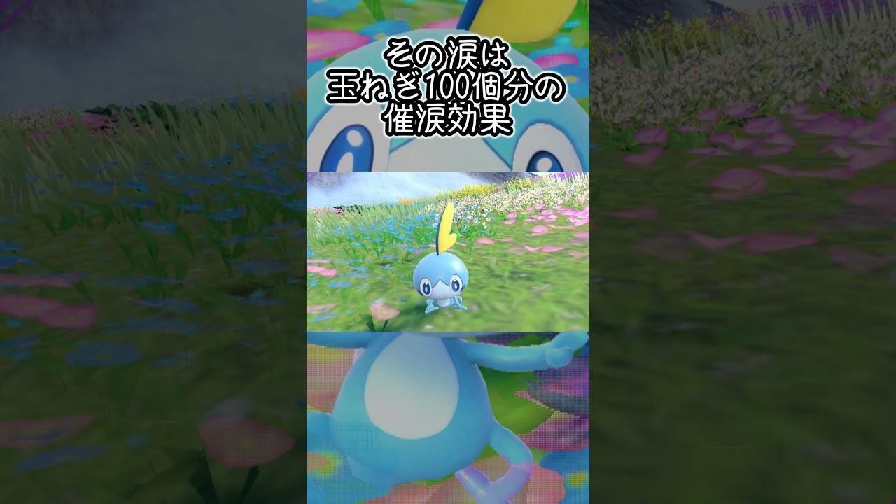 【疲れた人向け】メッソン6匹とピクニック【ポケモンSV】#Shorts