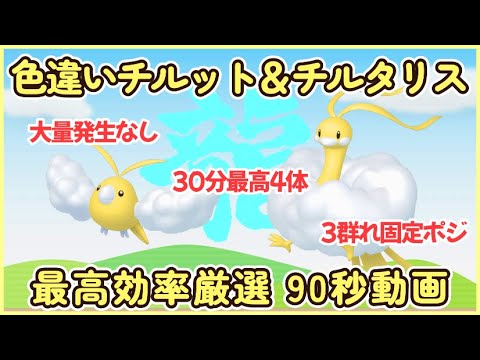 90秒で分かる色違いチルット＆チルタリス 最高効率厳選 30分最高４体平均2.32体以上#ポケモンsv #最高効率 #色違い #チルット #チルタリス #大量発生なし