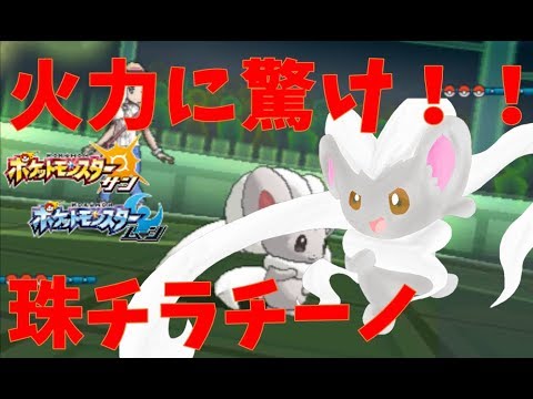 君は珠チラチーノがこんなに強い事を知っているか？【ポケモンSMマイナーレート実況S5♯11（サン ムーン）】