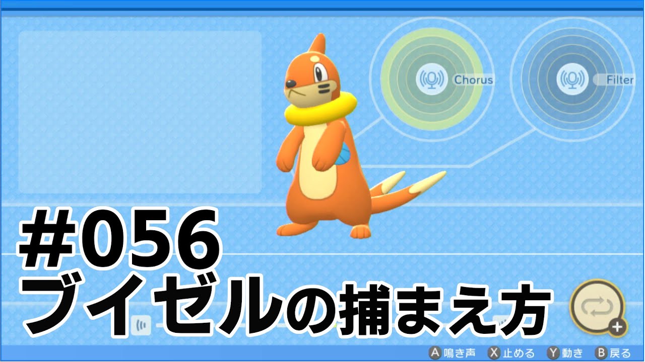 ブイゼルを探している方に見てほしい動画