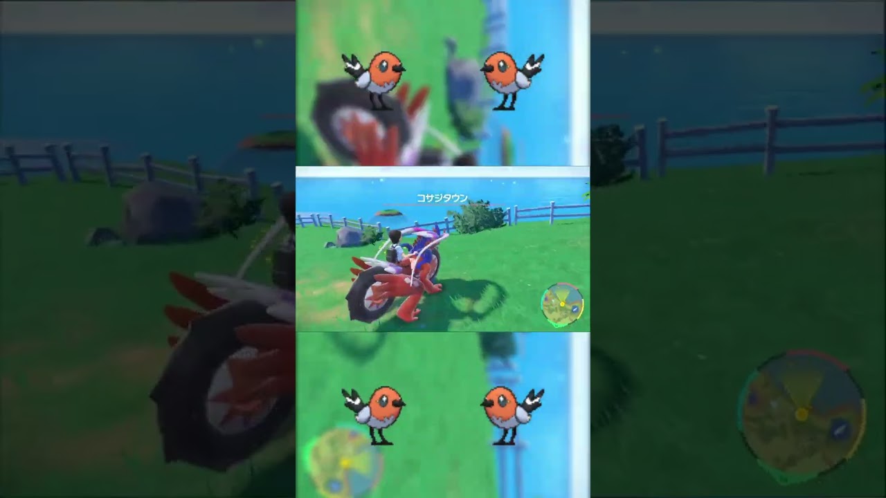 何とかトレーナーから逃げ延びるヤヤコマ #shorts　#ポケモンsv