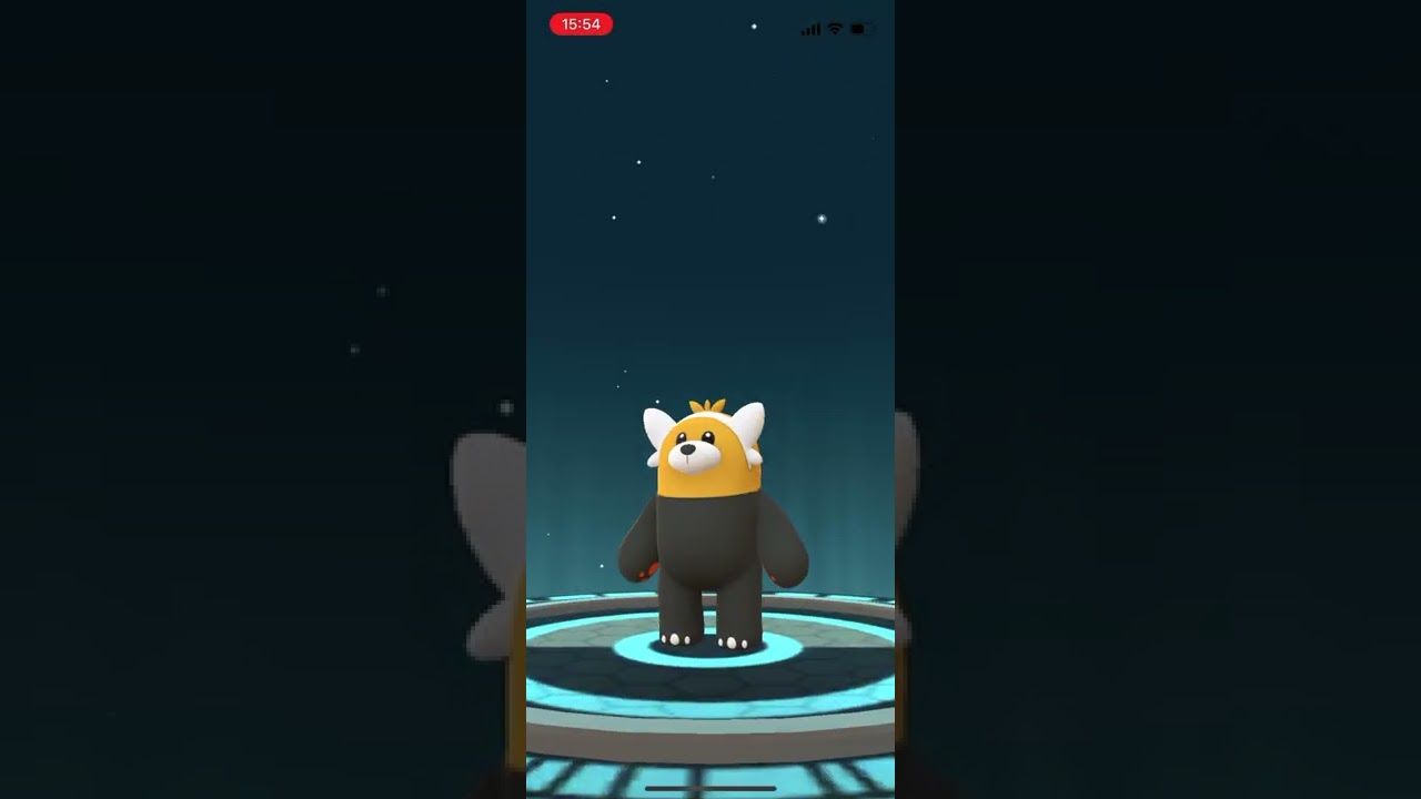 ポケモンgo 色違いヌイコグマを色違いキテルグマに進化させてみた　コミュデイ専用の特別技！