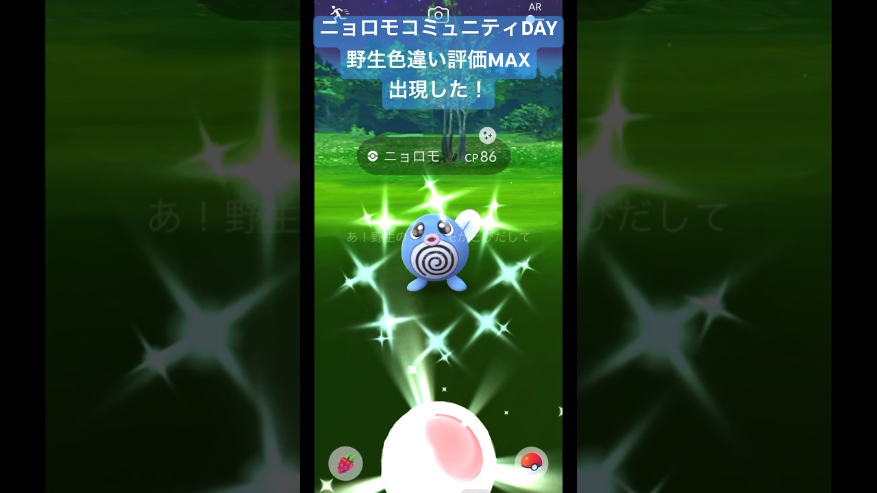 【ポケモンGO】ニョロモコミュニティDAY 野生！色違い！評価マックス！出現！？#pokemongo #pokemon #ポケモンgo #色違いポケモン #ニョロモ #ガラル三鳥 #shorts