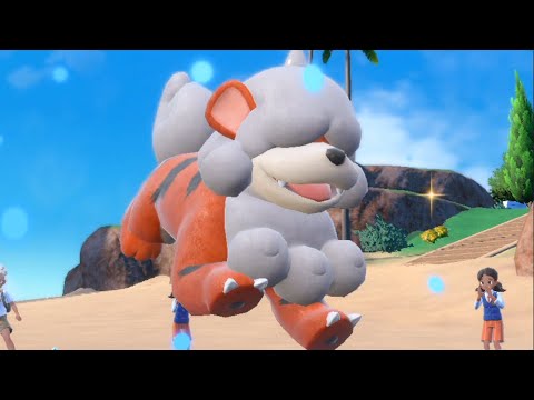 【ポケモンSV】ノーリスクで一致威力150技を連発できるガーディが強かった【ランクバトル・ポケットモンスター スカーレット・バイオレット】