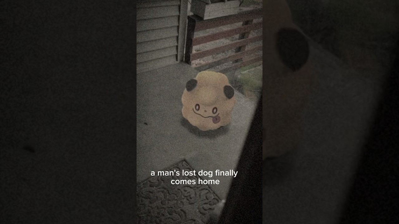 Swirlix turns out to be a DOG with a SECRET! Pokémon go horror #short #shorts