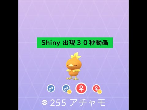 【Pokémon GO】Rarity ”D”＃255 アチャモ ☆shiny☆#Shorts