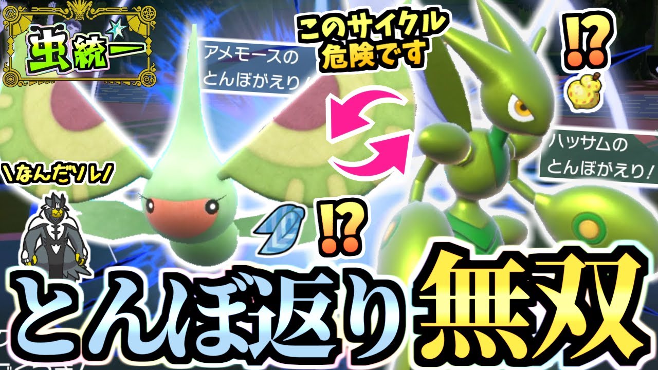 流行りのハッサムと組み合わせた『スカーフ型アメモース』がウーラオスも倒して威嚇してエアスラで怯ませて予想外の強さを発揮‼【ポケモンSV/スカーレット/バイオレット】【虫統一パ/タイプ統一パ】