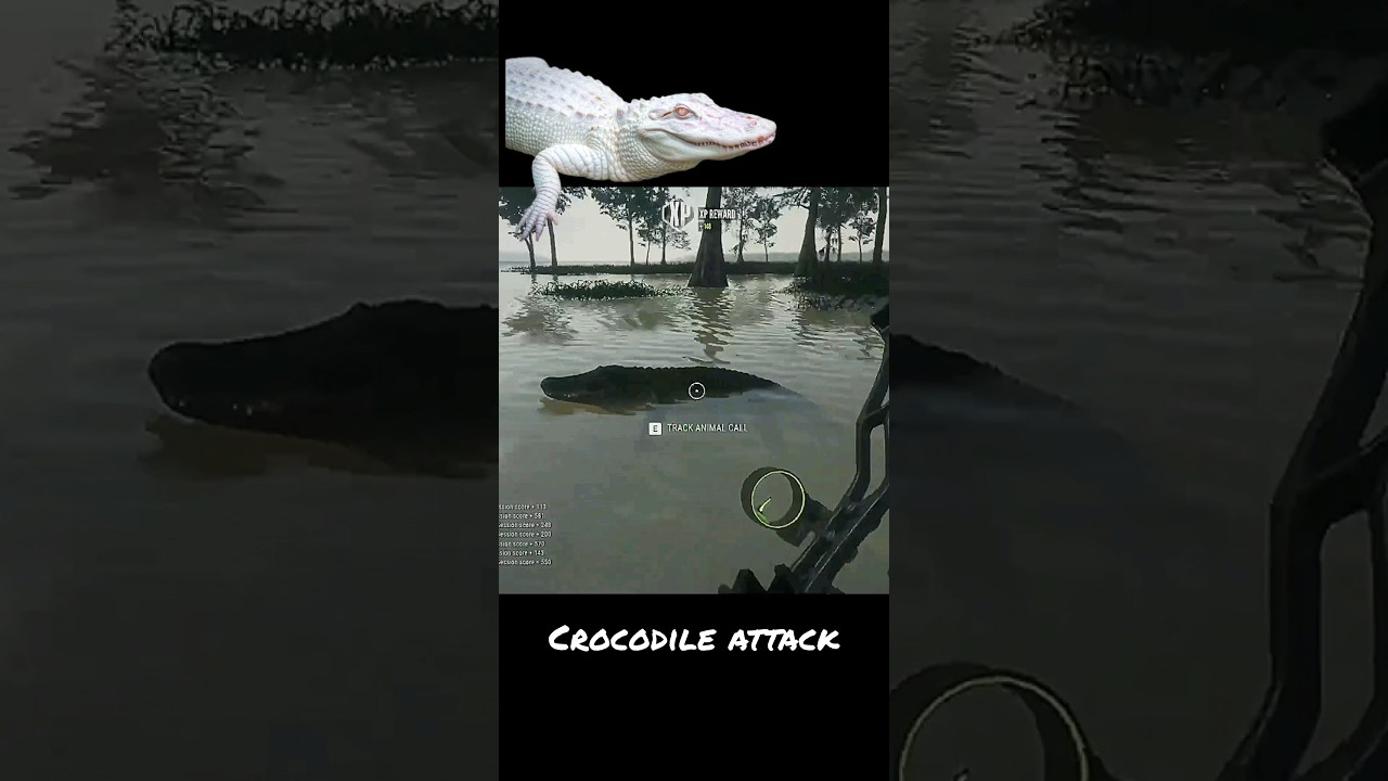 crocdile Attack 🐊 the King of the Zone! | theHunter Call of the Wild