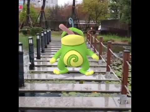 왕구리 ( Politoed ) ニョロトノ ( 蚊香蛙皇 )