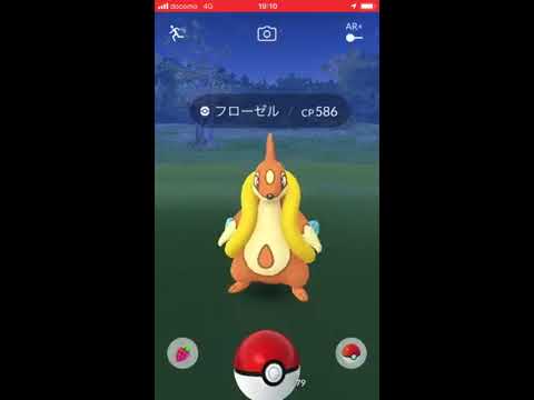 フローゼル野生で発見報告！ポケモンGO