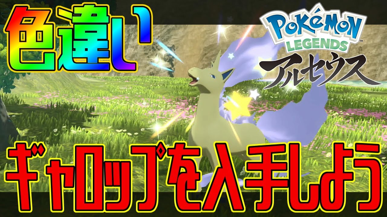 【ポケモンアルセウス】色違いギャロップを入手しよう【Pokémon LEGENDS アルセウス】