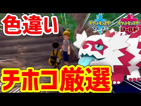 【ポケモン剣盾】人の色違いを奪え！！！！