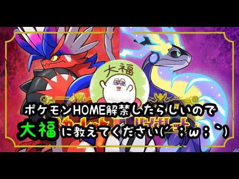 【けせなま】教えろください！『大福のポケットモンスターバイオレット』[2023.8.10]