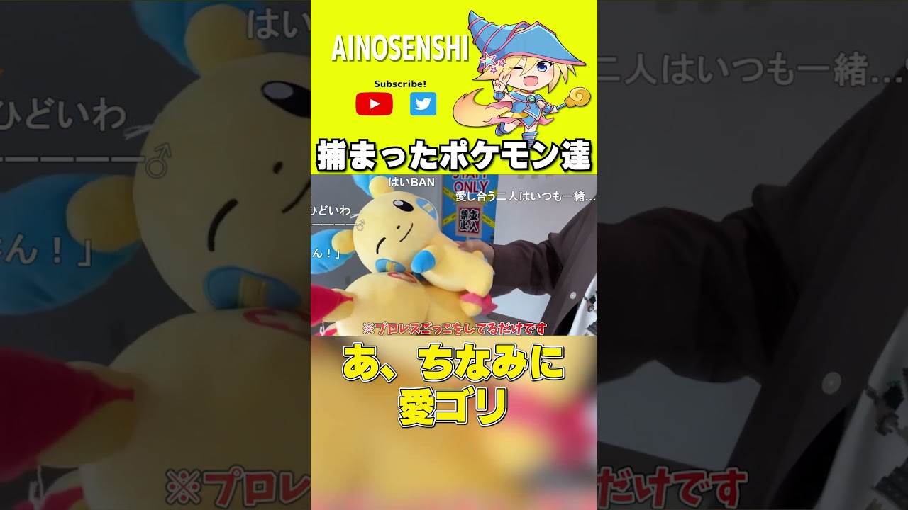 【愛の戦士】プラスルとマイナンの末路【2022/09/26】