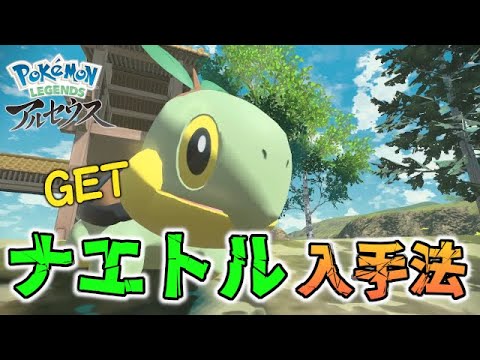 【シンオウ御三家】ナエトルの野生出現場所・入手方法！【ポケモンレジェンズ/アルセウス】