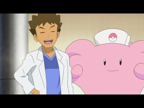 ポケモン復帰します。整理とハピナス周回