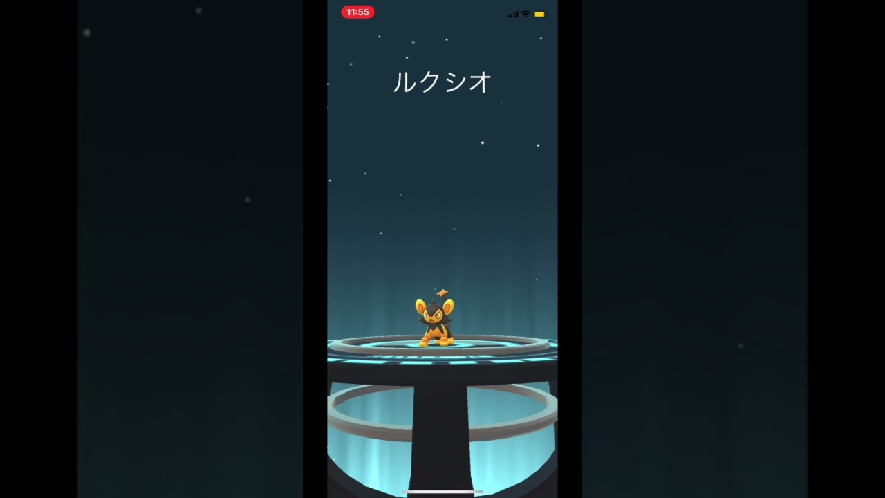 【初色違いルクシオ】#shorts #shiny ＃Shorts #pokemongo #ポケモンgo #ルクシオ　#色違い　#色違いルクシオ