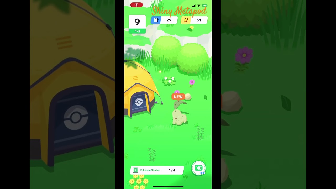 Metapod #mobile #game #pokemon #shinypokemon
