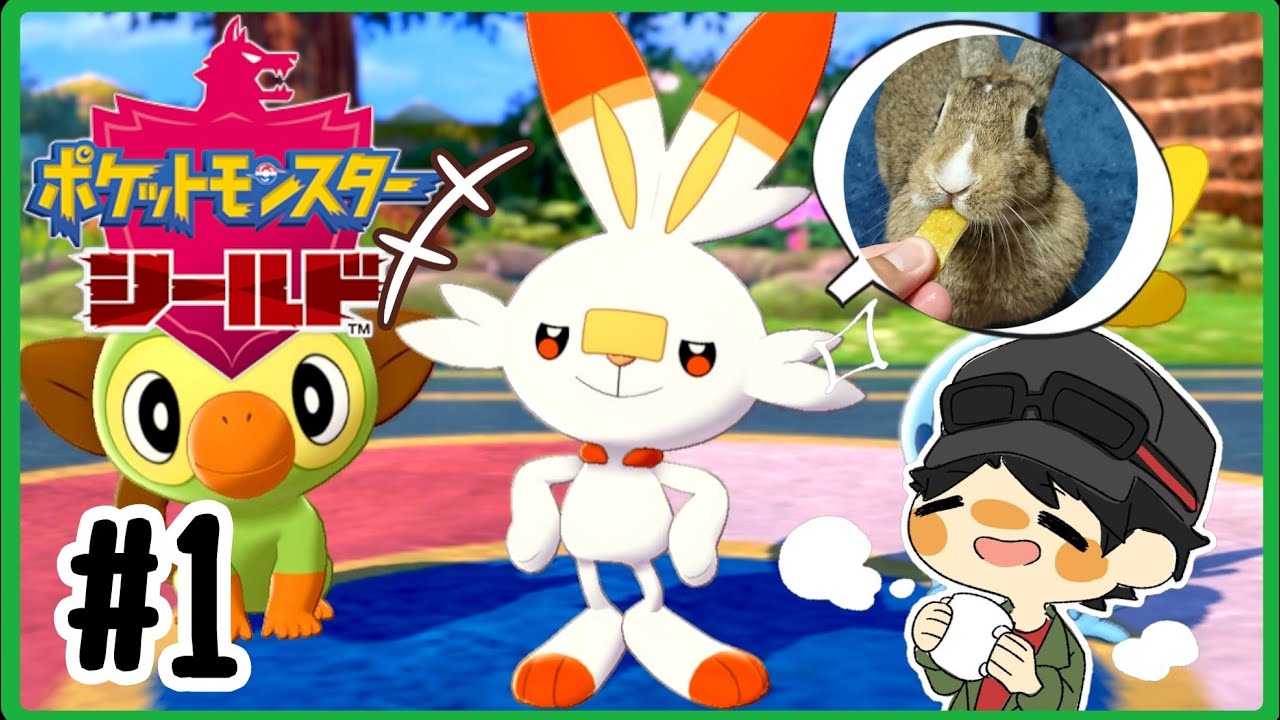【ポケモン剣盾】飼い主とウサギ、ガラルへ旅立つ#1