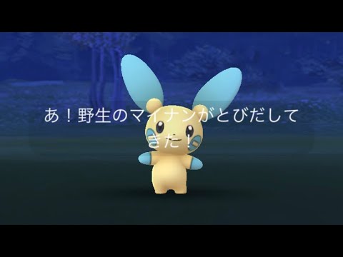 ポケモンgo  マイナンゲットチャレンジ