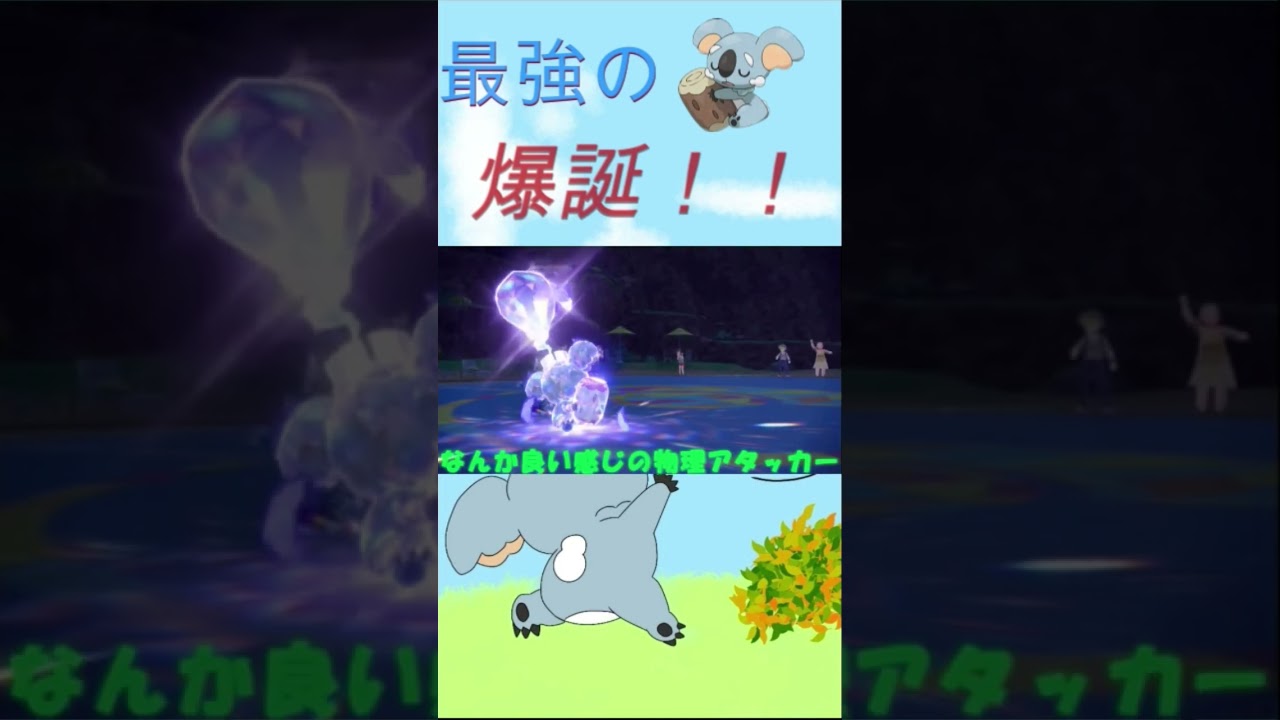 最強のネッコアラ爆誕!?