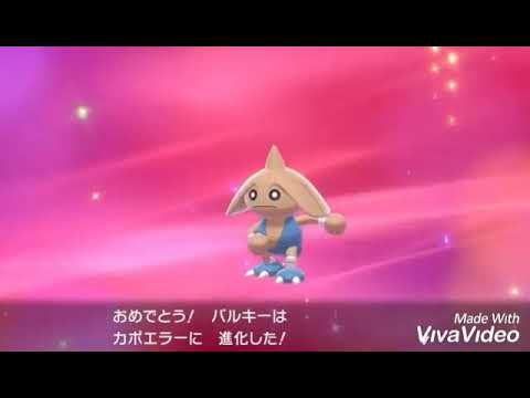 カポエラー進化は何の曲でも合う説検証Part1