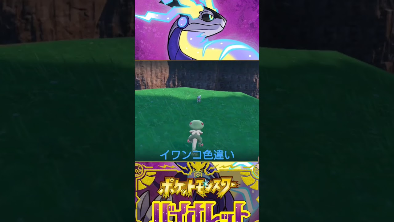 【ポケモンSV】イワンコ野生色違いと遭遇#shorts