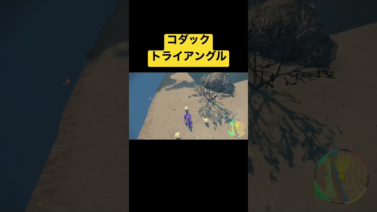 これが噂のコダックトライアングルです #ポケモンsv #ポケモン #コダック