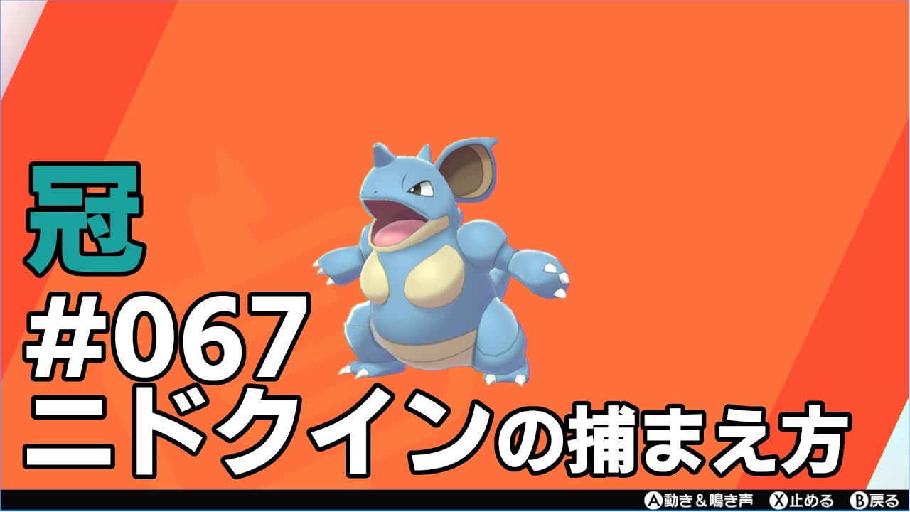 ニドクインを探している方に見てほしい動画