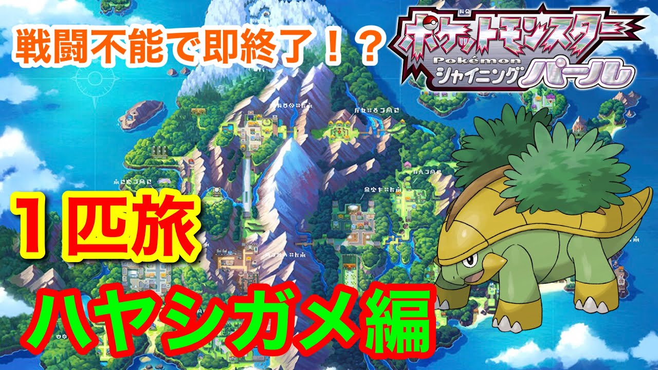 どこまで行けんの？BDSPポケモン一匹旅～ハヤシガメ編～