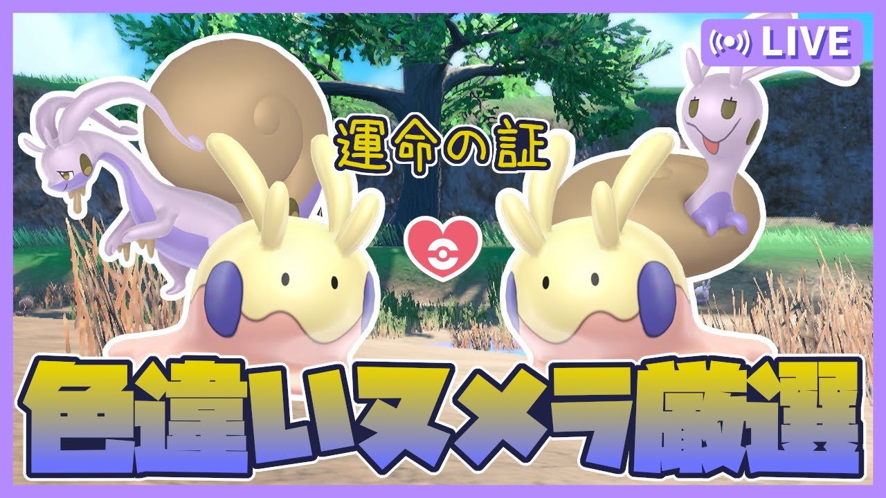 【 ポケモンSV 】最高効率で粘る運命のヌメラ厳選🫠WCS1日目楽しかったですね雑談💭視聴者プレゼント有🎁【 色違い厳選 】