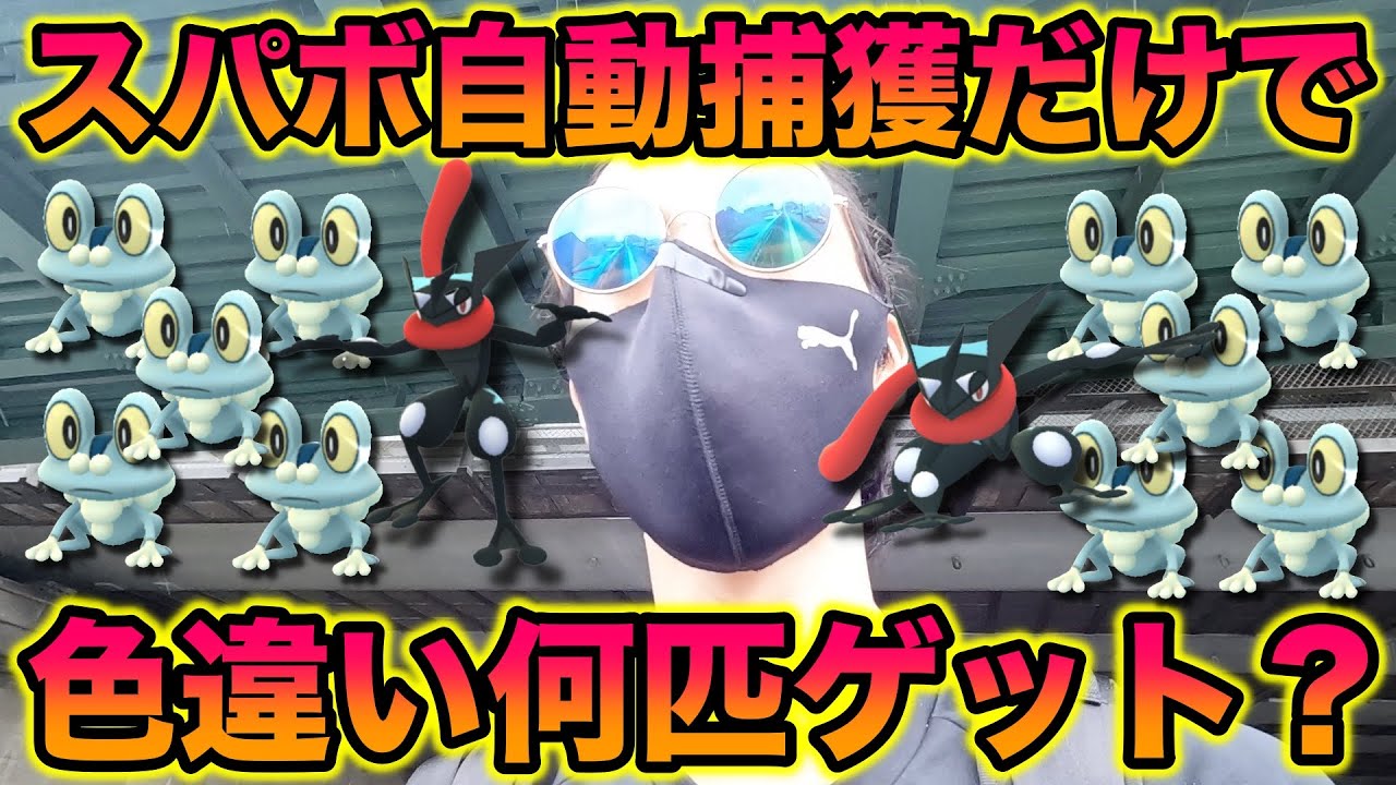 【検証】ケロマツのコミュデイにスーパーボール自動捕獲で色違いを何匹ゲットできるか？【ポケモンGO/Niantic】