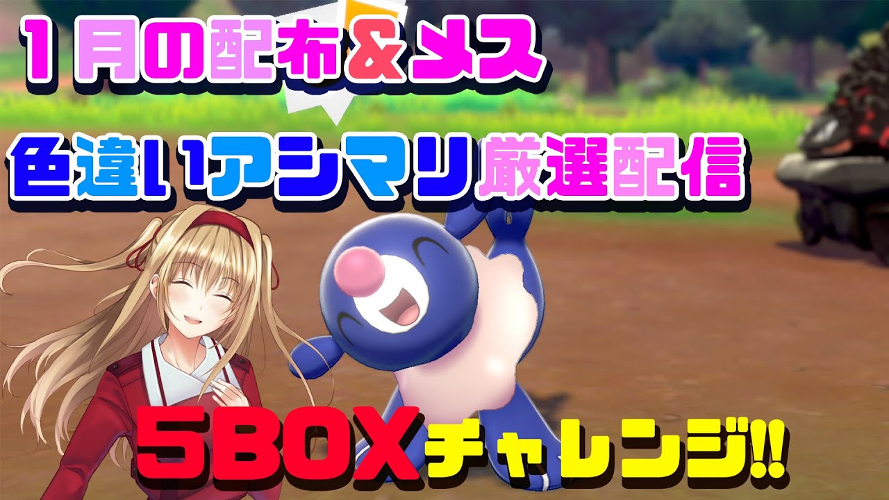 【アシマリ色違い孵化厳選】１月分の色違いプレゼント配信！出た色アシマリも配布に！【参加自由！】