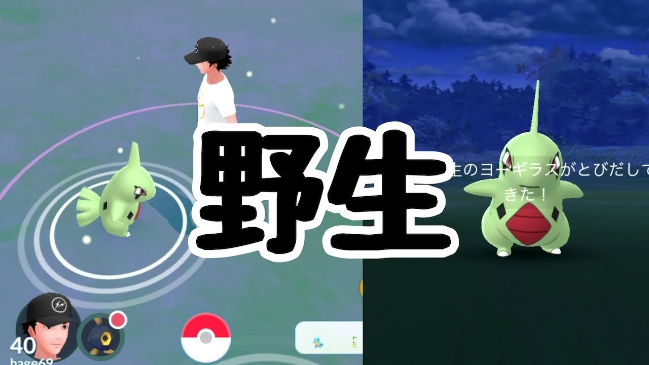 【ポケモンGO】ヨーギラス　野生！　捕獲！