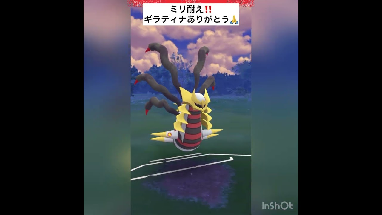ギラティナの耐久に感謝🙇‍♂️