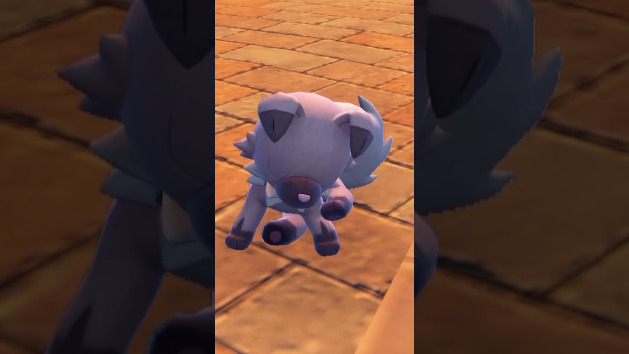 【ポケモンSV】自己満動画。普通にイワンコの仕草がかわいいw#short #short #youtubeshorts #ポケモン #ポケモンsv #pokemon #ゲーム