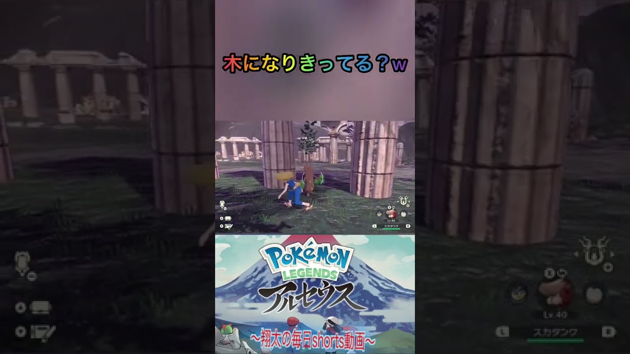 これがウソッキーか！！w#shorts #ゲーム #アルセウス #ポケットモンスター #ポケモン #チャンネル登録お願いします
