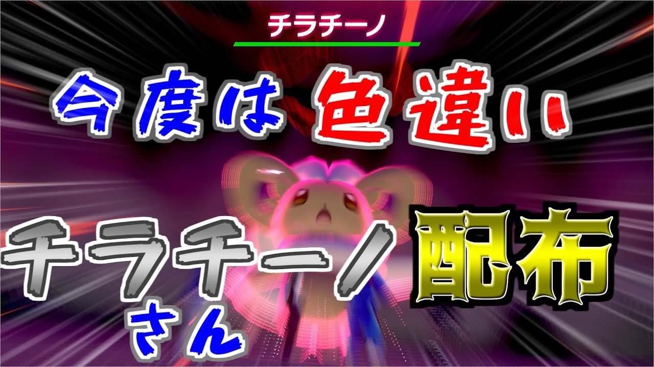 【ポケモン剣盾ライブ】色違いチラチーノさん配布！取り逃した方チャンス！【ポケモン配布】