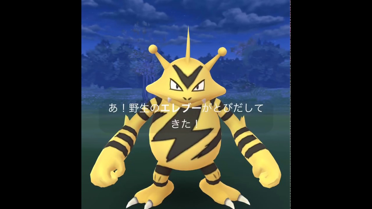 ポケモンGO  エレブー & ロッキー