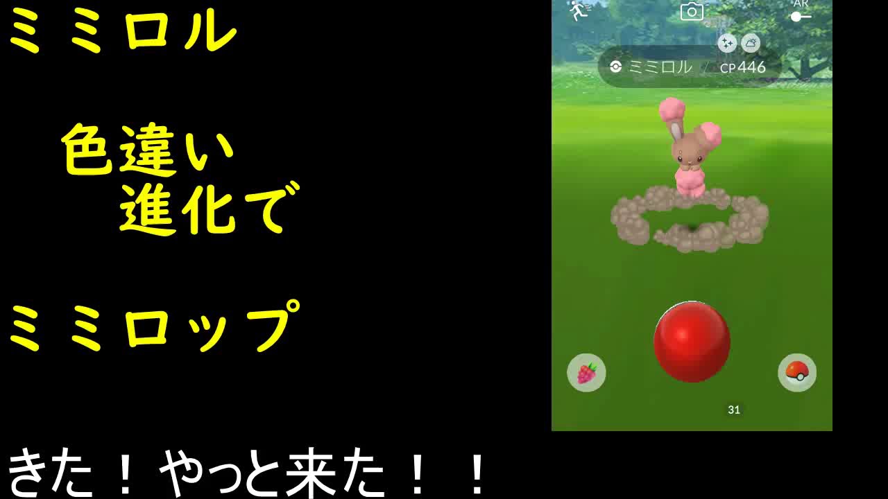 色違いミミロル進化ミミロップ【ポケモンGO】