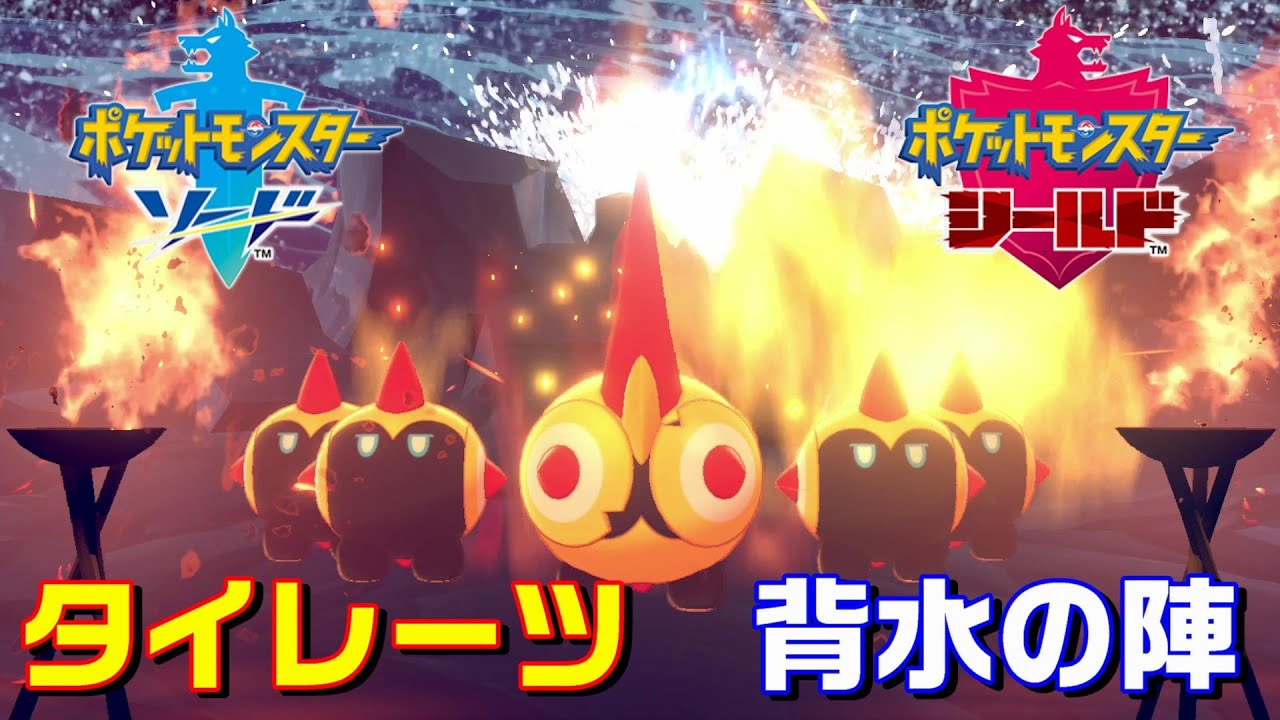 動きが可愛くて面白い！第8世代 新ポケモン『タイレーツ』【ポケモン剣盾 】ソード シールド