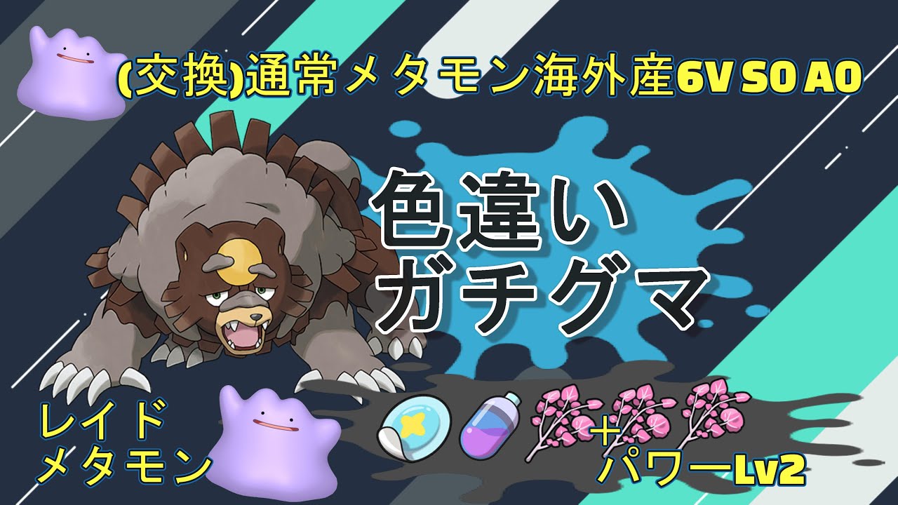 「戦前のアソビ」　数体限定 色違いガチグマ   海外産 6V S0 A0メタモン配布「Pokémon」「ポケモンSV」 8月13日　配布ライブ