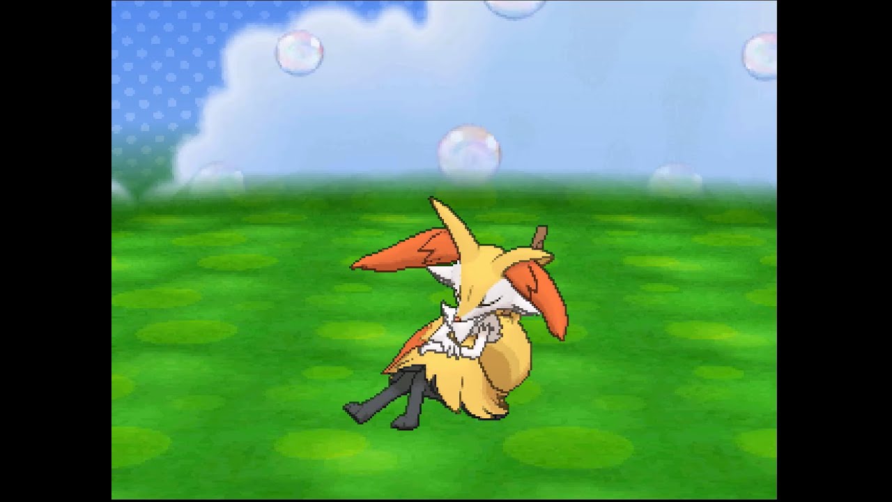 ポケパルレ　テールナーと戯れるだけの動画