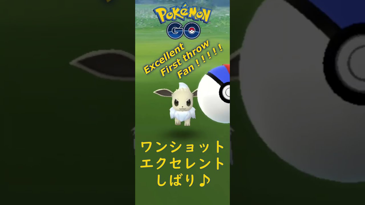 【ポケモンGO】ワンリキーをワンショット・エクセレント・カーブボールでゲットしただけの動画 / Machop is Caught with First Excellent Throw. #SHORTS