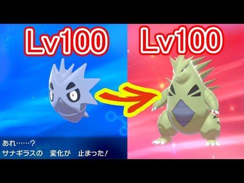 【ポケモン剣盾】Lv100でも進化出来る⚠進化を残したままLv100にしたポケモンを進化させる方法⚠【ポケモンソード・シールド】最強強い