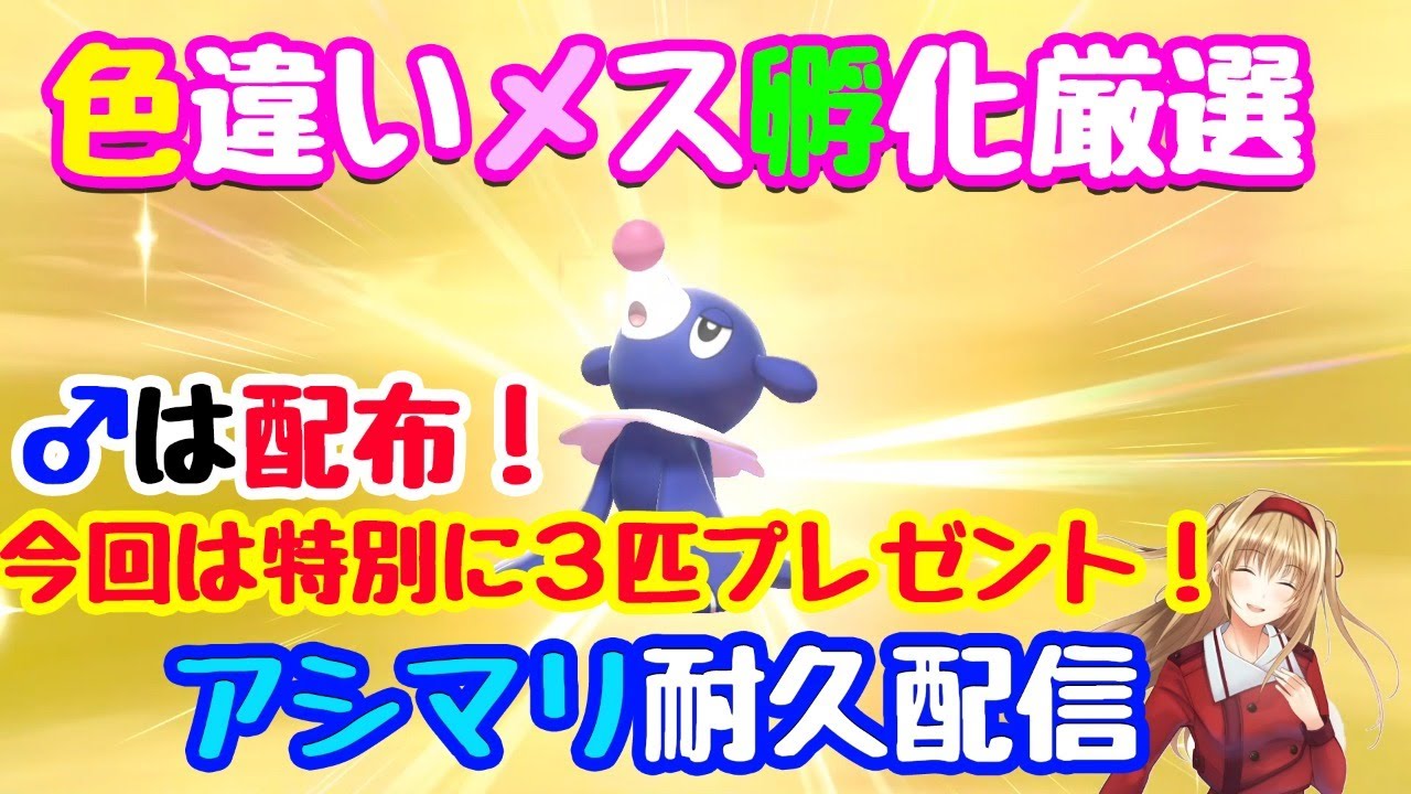 【アシマリ♀色違い厳選】色違い孵化日記 特別編【今夜限り最低３匹はマメマリ確定配布！】
